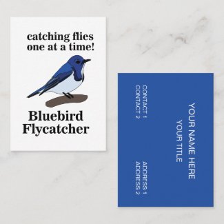 Bluebird Nature Wildlife Funny