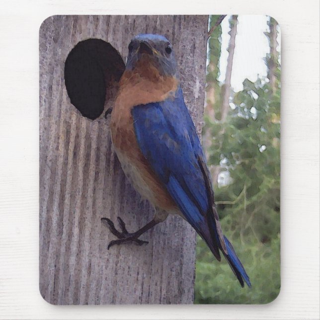 Bluebird Nest Box Mousepad (Front)