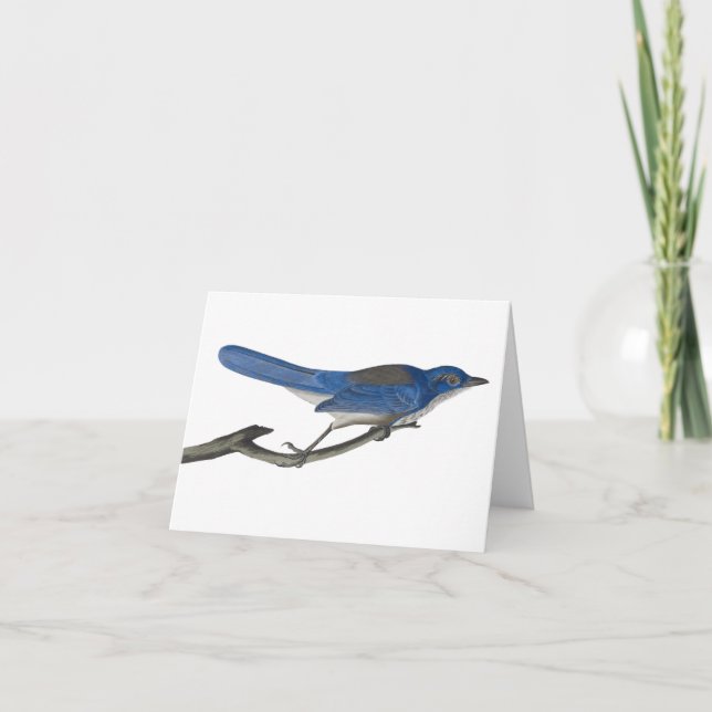 Bluebird Notecard (Front)