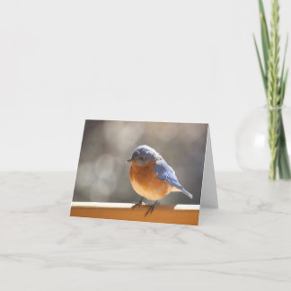 Bluebird Notecard - Blank Inside