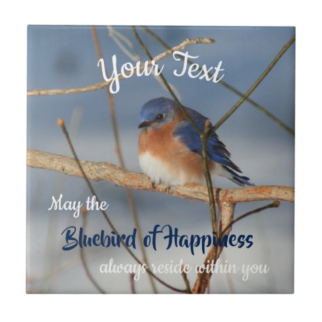 Bluebird Of Happiness Inspirational Personalized Ceramic Tile (Front)