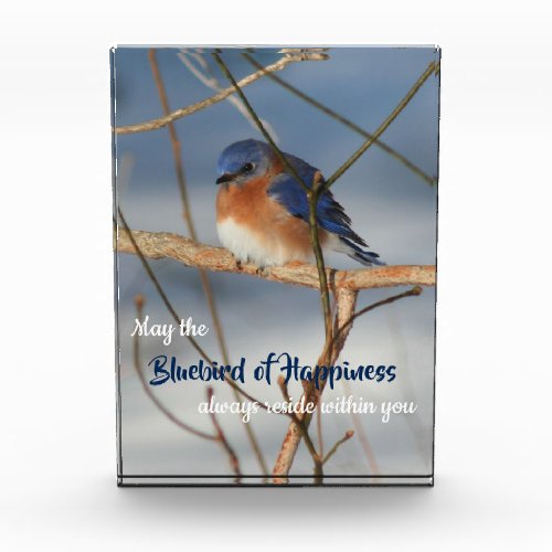 Bluebird Of Happiness Inspirational  Photo Block