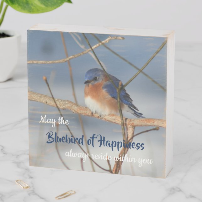 Bluebird Of Happiness Inspirational  Wooden Box Sign (In Situ Horizontal)