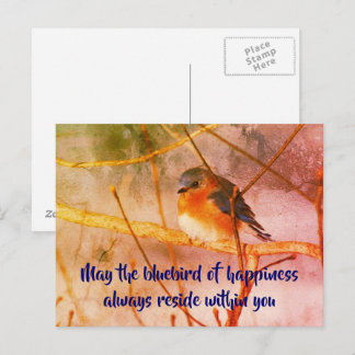 Bluebird Of Happiness Nature Art Postcard