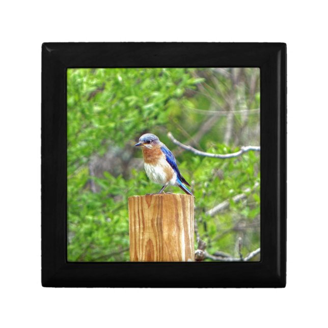 Bluebird on a Fence Post Keepsake Box (Front)