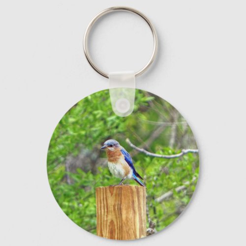 Bluebird on a Fence Post Keychain