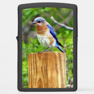 Bluebird on a Fence Post Zippo Lighter