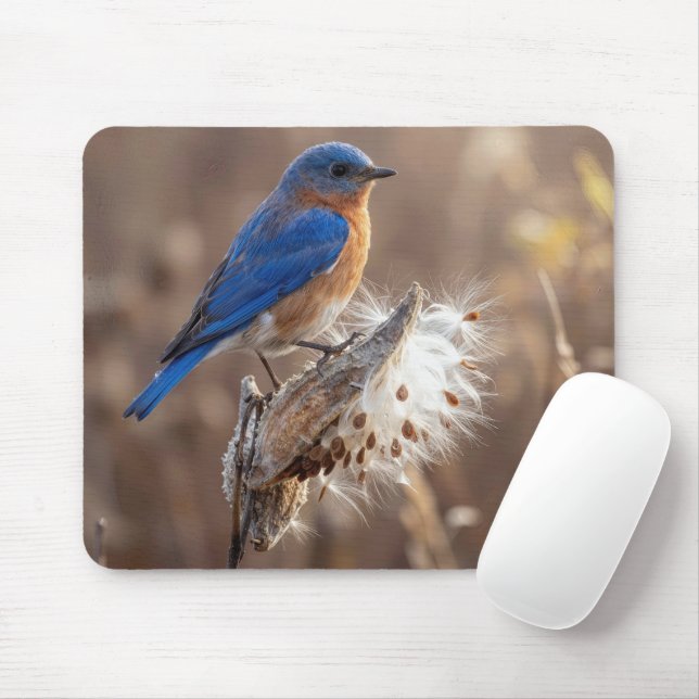 Bluebird on a Milkweed Pod Mouse Pad (With Mouse)
