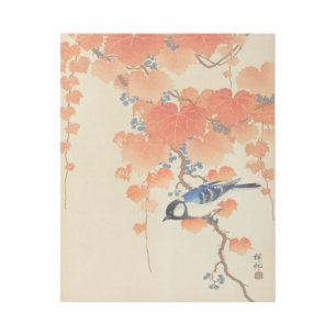 Bluebird on a Paulownia Tree Gallery Wrap