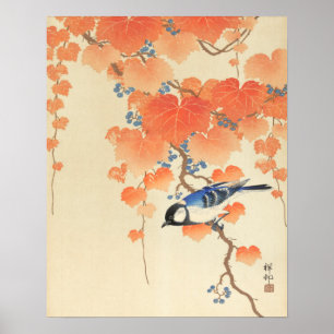 Bluebird on a Paulownia Tree Poster