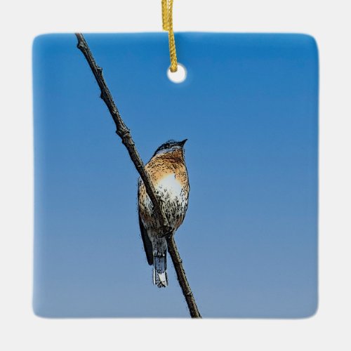 Bluebird on branch ceramic ornament