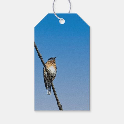 Bluebird on branch gift tags