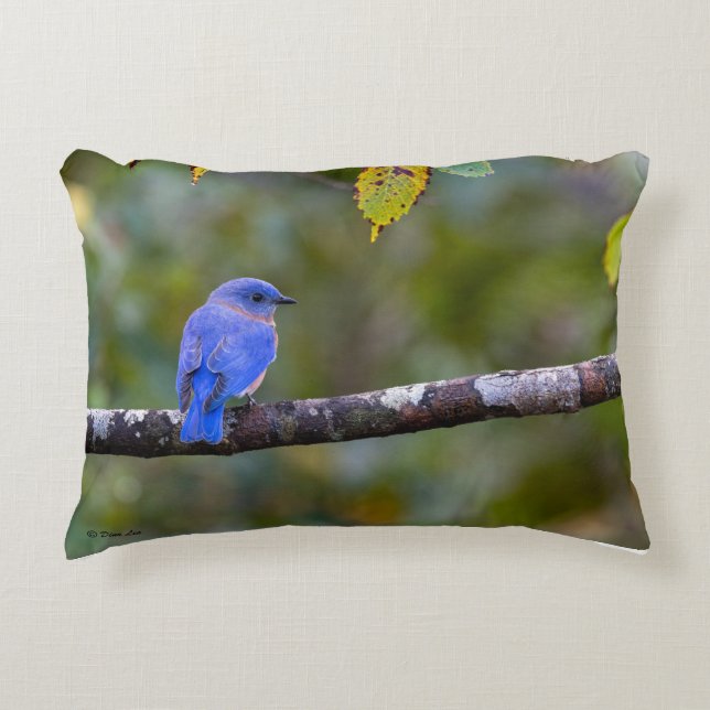 BlueBird on Throw Pillow (Front)