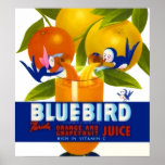 Bluebird Orange Juice Vintage Poster at Zazzle