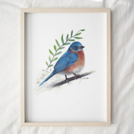 Bluebird Painting Art Print