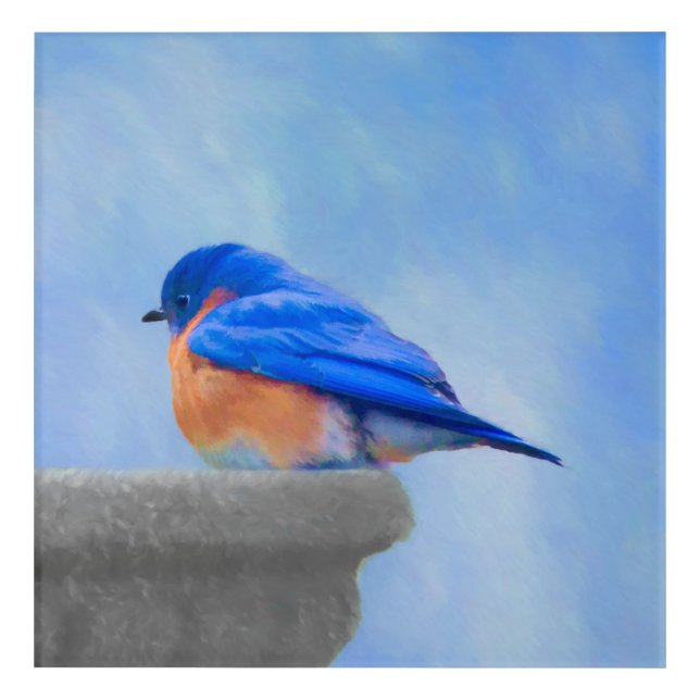 Bluebird Painting - Original Bird Art (Front)