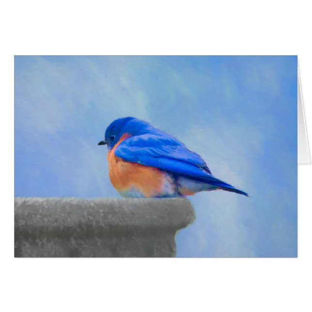Bluebird Painting - Original Bird Art (Front Horizontal)