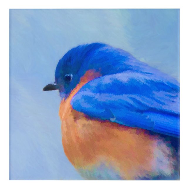 Bluebird Painting - Original Bird Art (Front)