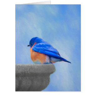 Bluebird Painting - Original Bird Art Card