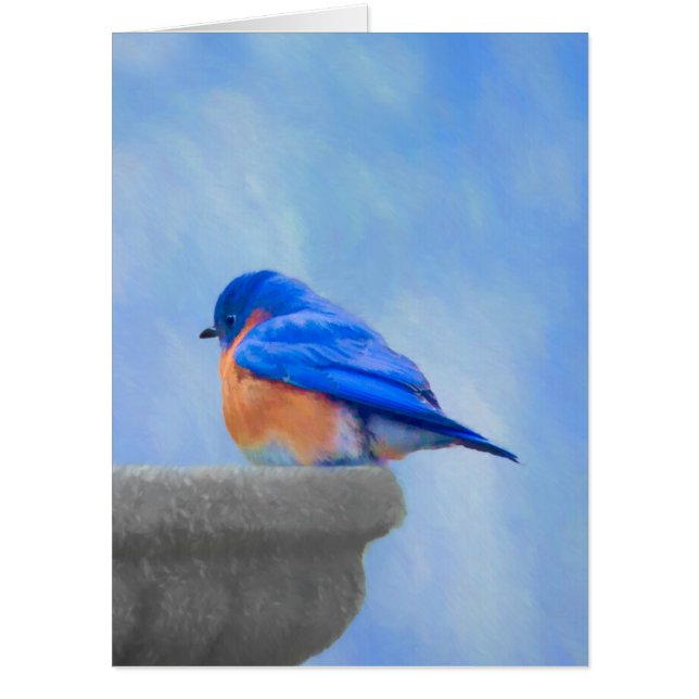 Bluebird Painting - Original Bird Art Card (Front)