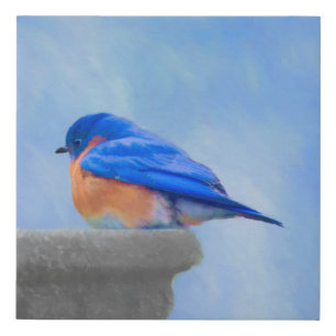 Bluebird Painting - Original Bird Art Faux Canvas Print