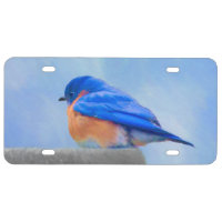 Bluebird Painting - Original Bird Art