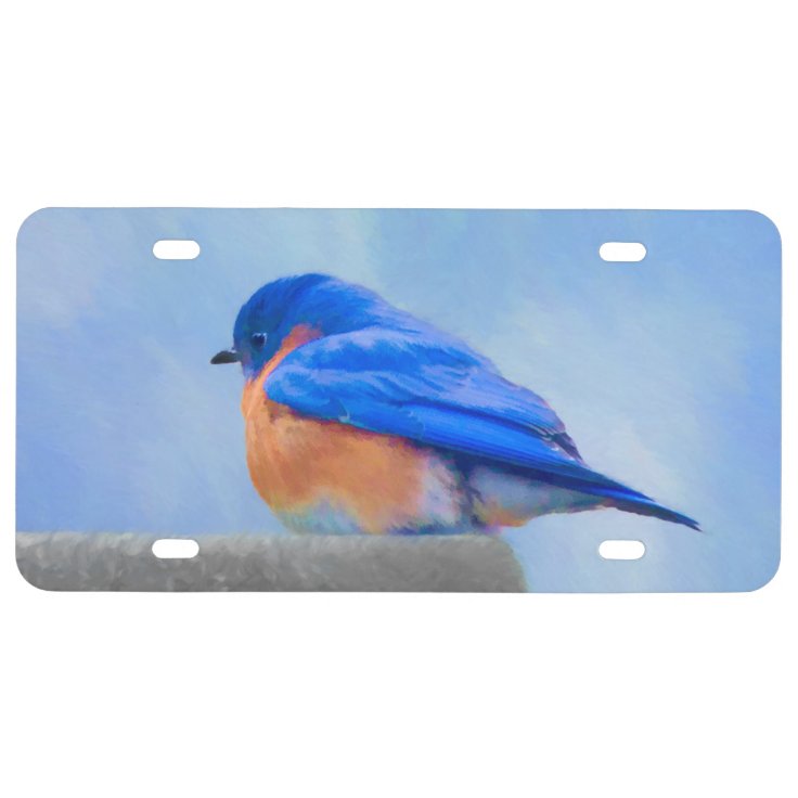 Bluebird Painting Original Bird Art License Plate Zazzle