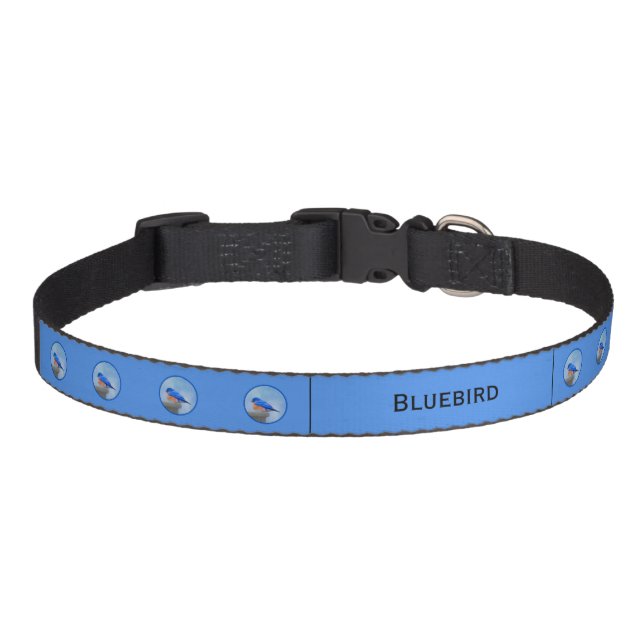 Bluebird Painting - Original Bird Art Pet Collar (Front)