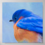 Bluebird Painting - Original Bird Art Poster