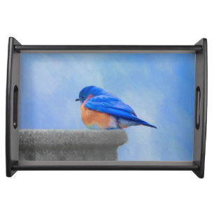 Bluebird Painting - Original Bird Art Serving Tray