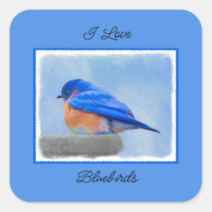Bluebird Painting - Original Bird Art Square Sticker