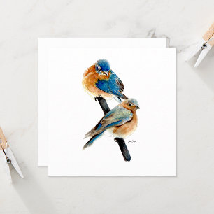 Bluebird Pair Beautiful Watercolor 