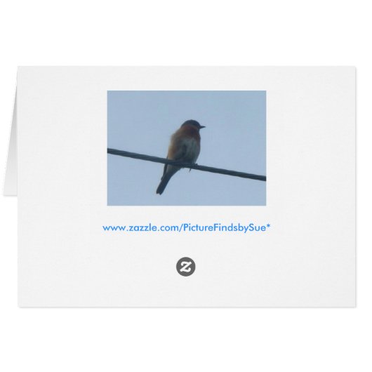 Bluebird Pair, Collage (Back Horizontal)