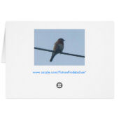 Bluebird Pair, Collage Cards (Back Horizontal)