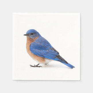 Bluebird Paper Napkins