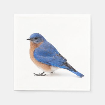 Bluebird Paper Napkins by PixLifeBirds at Zazzle