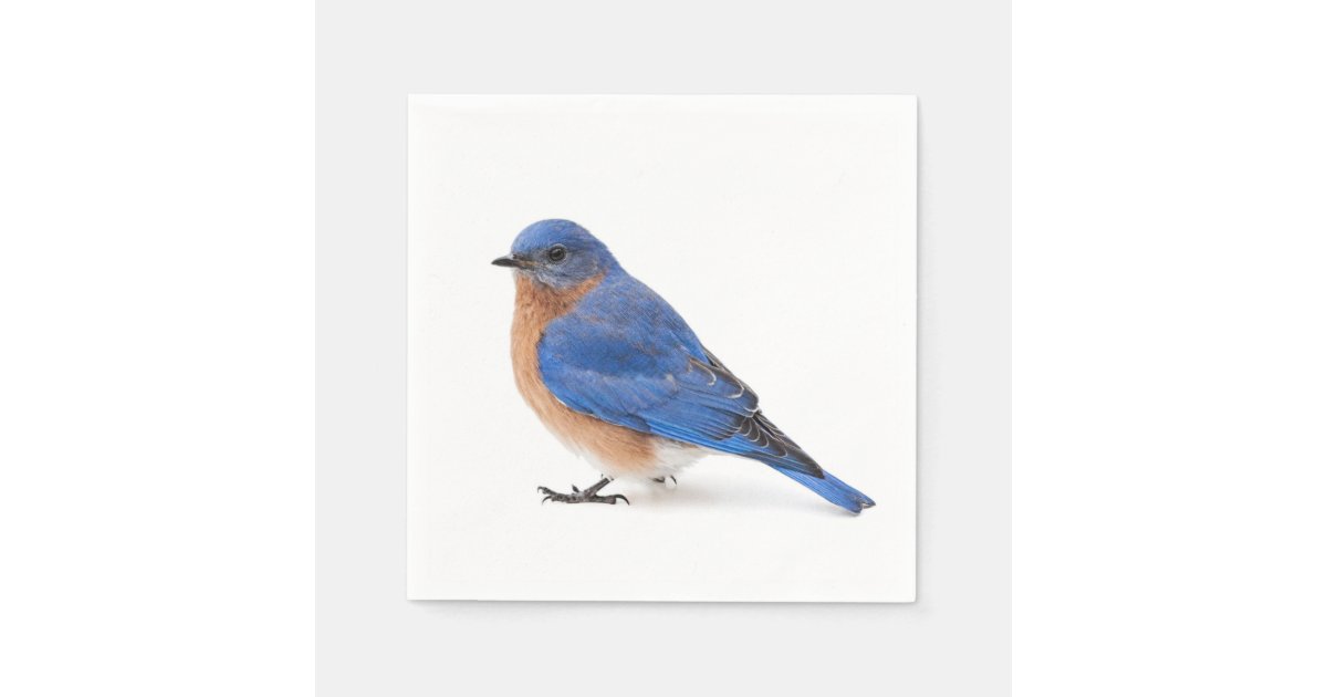 Bluebird Paper Napkins Zazzle