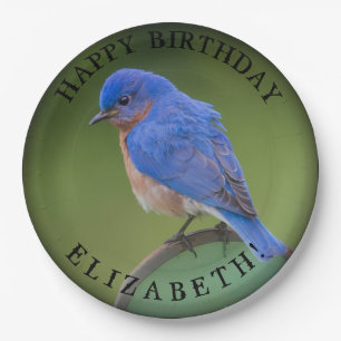 Bluebird Paper Plate with Name and Birthday