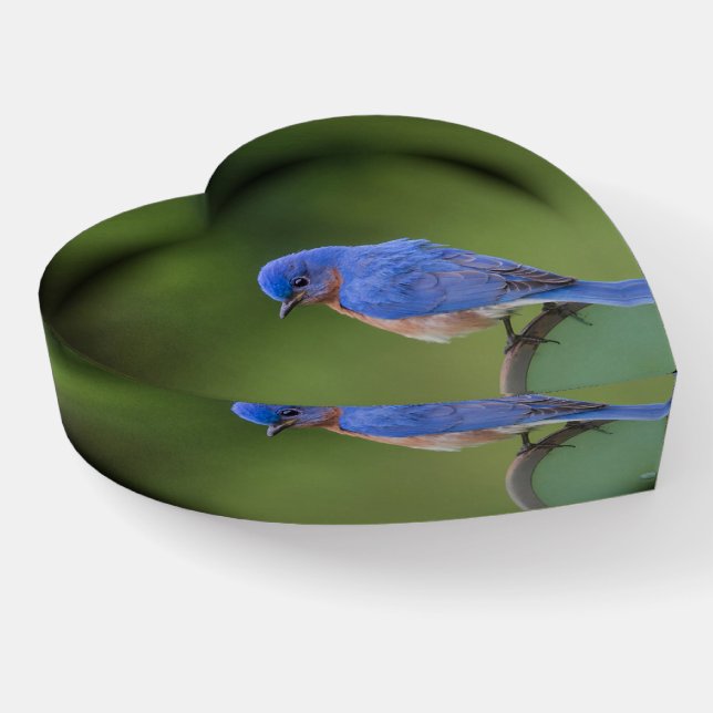 Bluebird Paperweight (Angled)