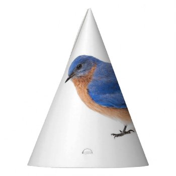 Bluebird Party Hat by PixLifeBirds at Zazzle
