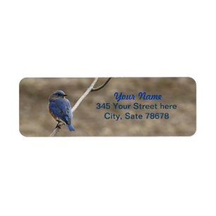 Bluebird Photo Return Address labels