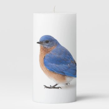 Bluebird Pillar Candle by PixLifeBirds at Zazzle