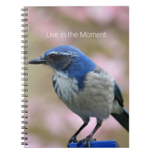 Bluebird Pink Floral (my photography) Notebook