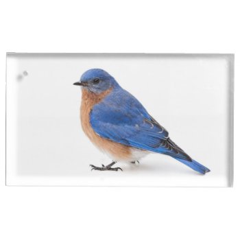 Bluebird Place Card Holder by PixLifeBirds at Zazzle