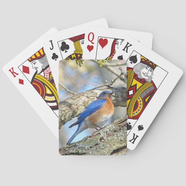 Bluebird Poker Cards (Back)