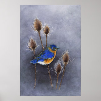 Bluebird Poster Print