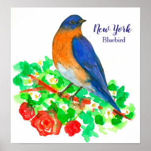 Bluebird Red Roses Watercolor Flowers Poster