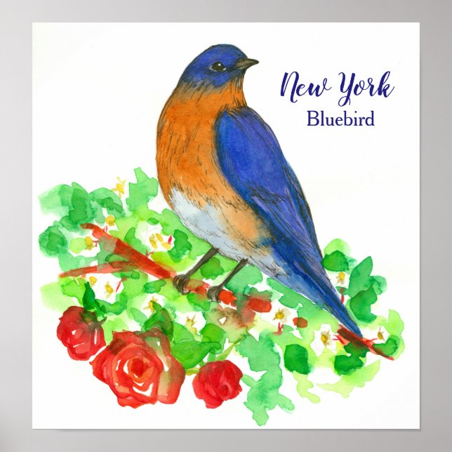 Bluebird Red Roses Watercolor Flowers Poster (Front)