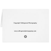 Bluebird Ruffled Feathers (Back Horizontal)