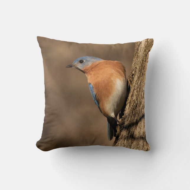 Bluebird, Sideways Glance Throw Pillow (Front)